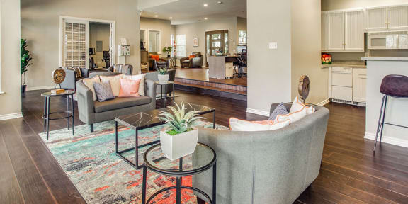 Community Clubhouse at Newport Apartments, Texas, 75062