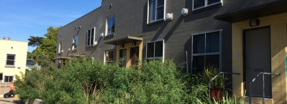 the building in which the apartment is located