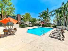 Apartments in Ontario, CA - Avante Sparkling Swimming Pool Surrounded by Lush Landscaping and Lounge Seating