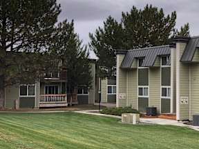 Apartments with lawn