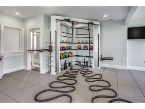 Fitness Center with tv, medicine balls and ropes