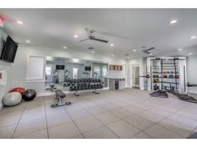 Fitness Center with Free weights, med balls and ropes