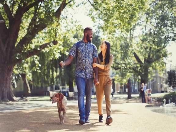 a couple walking their dog in a park