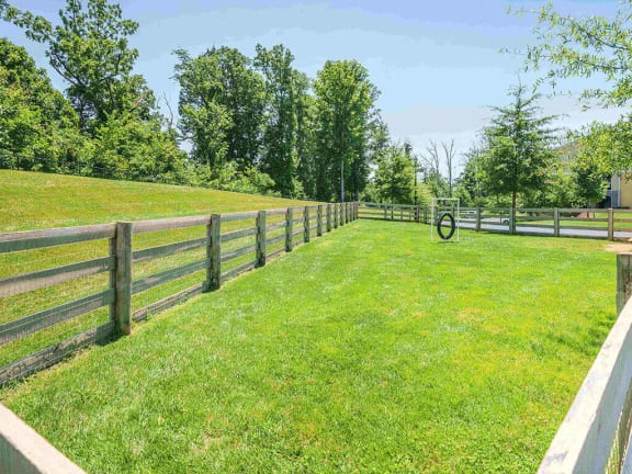 Green park  at Amberleigh Bluff, Knoxville, 37922