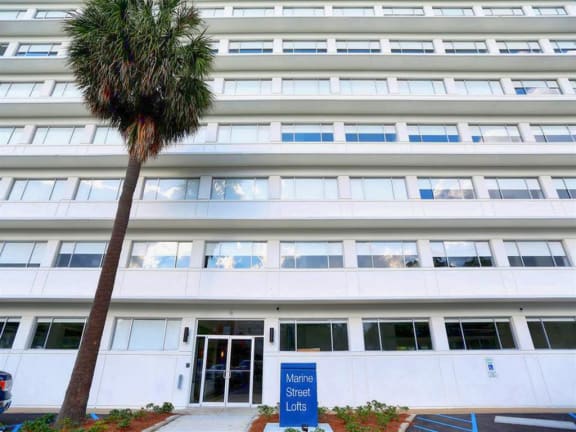 a palm tree in front of a large white building at The Mobile Lofts, Alabama, 36604