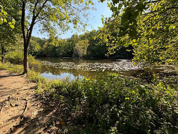 A serene lake surrounded by lush greenery and trees.