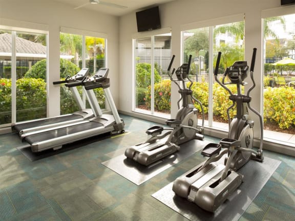Fitness Center at The Arbor Walk Apartments, Tampa