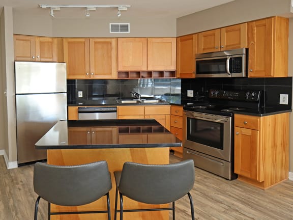 Updated Kitchen with All New LVT Hard Surface Flooring