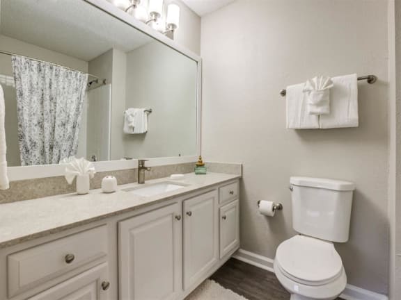 Bathroom With Extra Storage Space at Crestmont at Thornblade, Greenville, SC, 29615