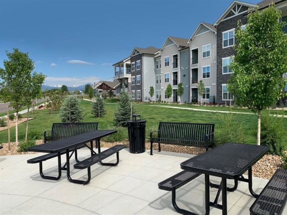Picnic And BBQ at Watermark at Harvest Junction, Longmont, CO, 80501