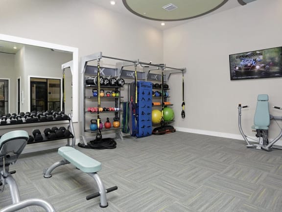 Fitness Center Free Weights