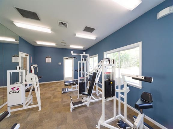 Fitness Center With Updated Equipment at Holly Cove Apartments, Orange Park, FL, 32073