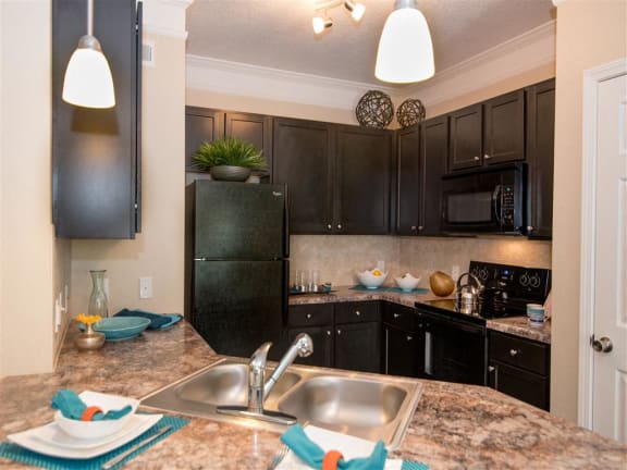 classic kitchen: sink, refrgerator, dishwsher, oven/stove, and microwave