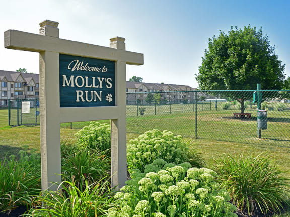Enclosed dog park at Thornridge Apartments in Grand Blanc, Michigan