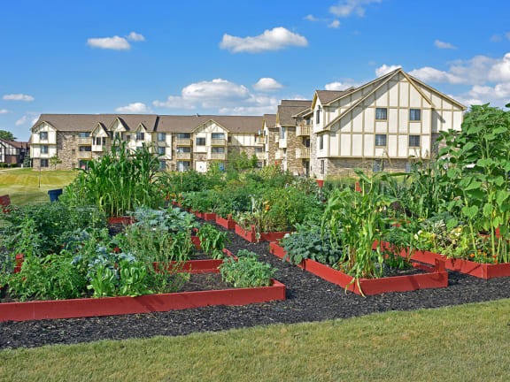 Outside community garden at Thornridge Apartments in Grand Blanc