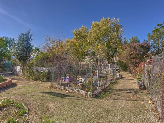 Community Garden Area at VINTAGE AT BOUQUET CANYON, California