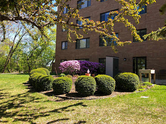 Patio - Garden