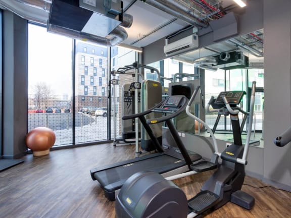 The Shield, Newcastle - Gym, 2