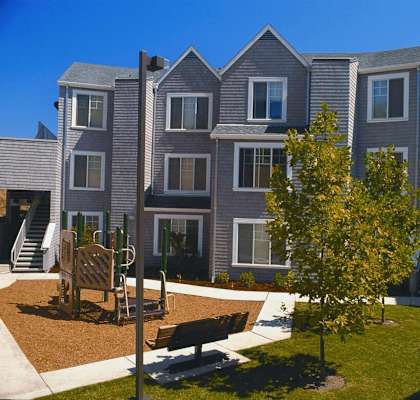 a row of houses with trees in front of them