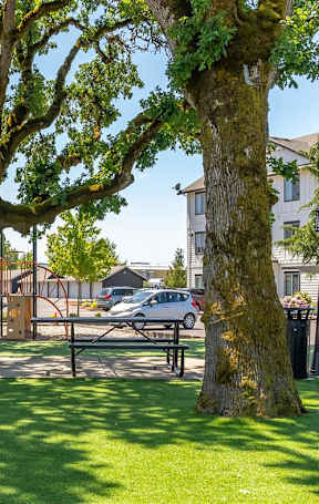 A playground area surrounded by apartment buildings and trees at Riverplace Apartment Homes, Independence, Oregon