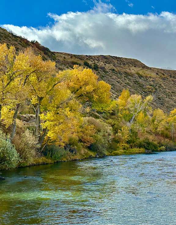 Landscape at Lakeside Manor Apartments, Reno, NV