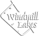 the logo baseball team