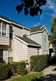 A row of houses with green trees in front.