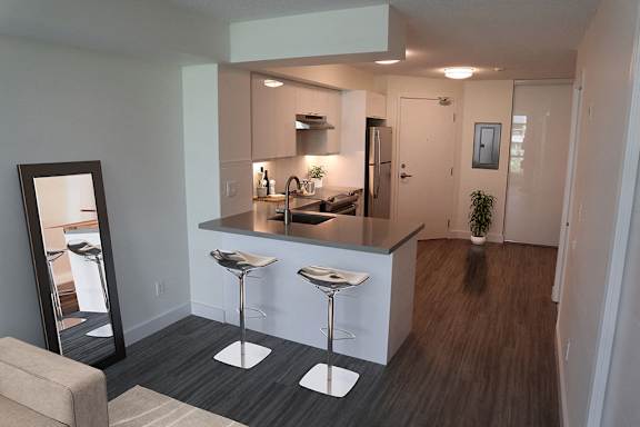 Renovated Kitchen