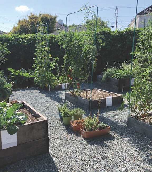a garden filled with lots of plants in wooden boxes