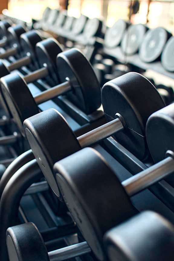 A row of dumbbells are lined up in a gym.