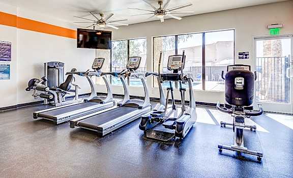 A gym with treadmills, elliptical machines, and a fan.