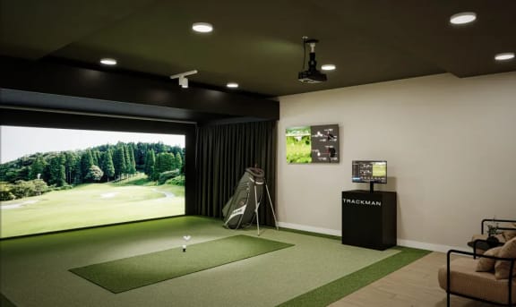 Terra-Golf Simulator
