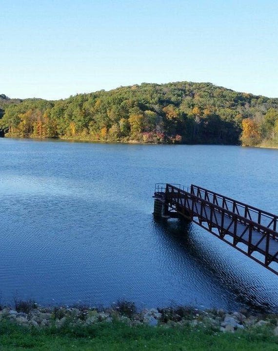 a bridge over a lake in a park