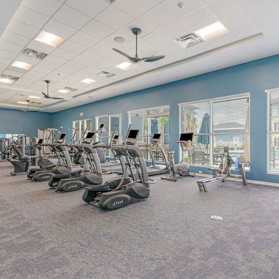 A gym with treadmills and elliptical machines.