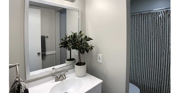 A bathroom with a mirror, sink, and a potted plant.