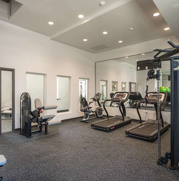 A gym with treadmills, weights, and exercise equipment.