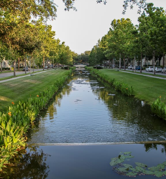 Canal with Flowers and Trees on Each Side in Orlando, Florida