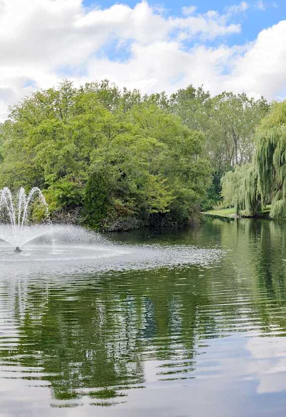 A serene lake with a fountain in the middle, surrounded by lush green trees.