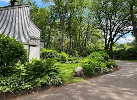A large rock is in the middle of a driveway surrounded by green plants.