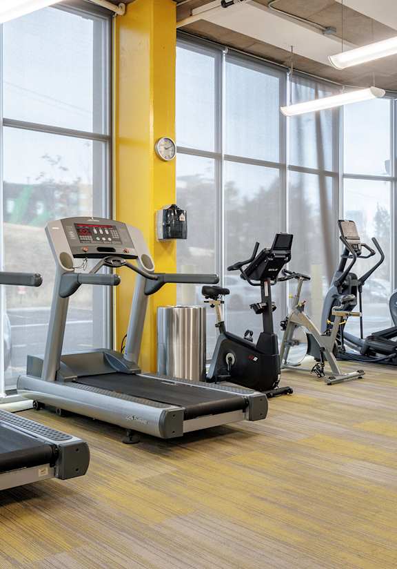 A gym with treadmills and elliptical machines.