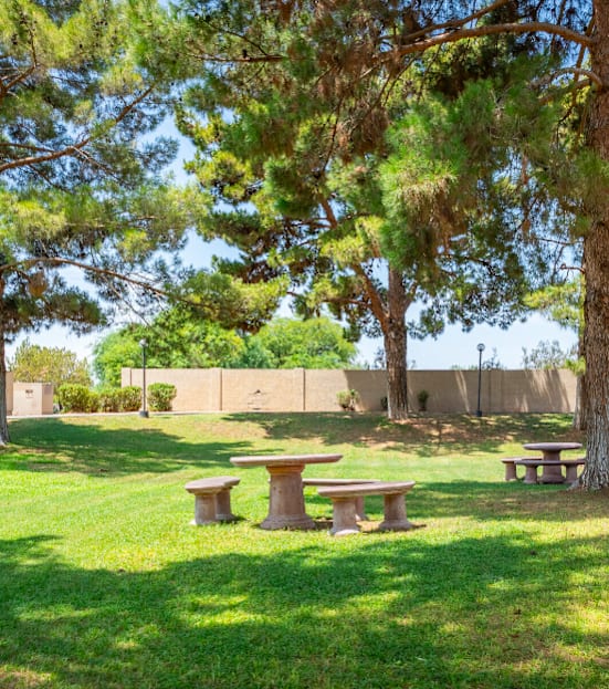 a picnic area with benches and trees in a park