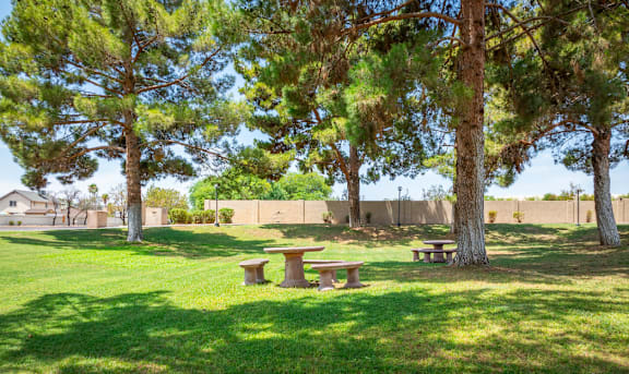 a picnic area with benches and trees in a park