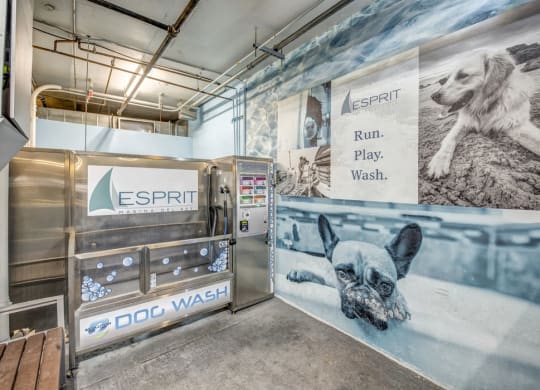 Dog wash station  at Esprit Apartments, Marina del Rey, 90292