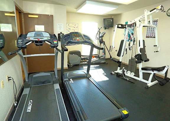 A gym with treadmills and exercise equipment.