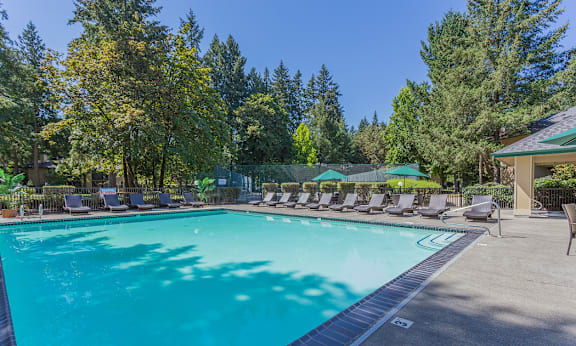 A large swimming pool surrounded by trees and lounge chairs. at Commons at Creekside Apartments, Hillsboro, 97123