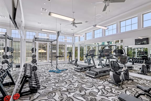 a gym with weights and cardio equipment and windows at Cypress Creek at River Oaks, Waxahachie, TX