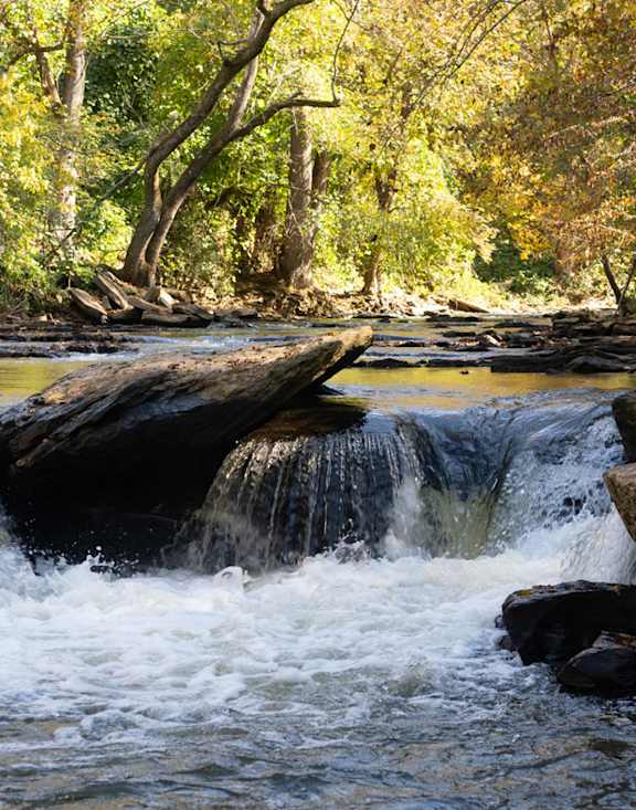 A small waterfall flows over a rock in a forest.