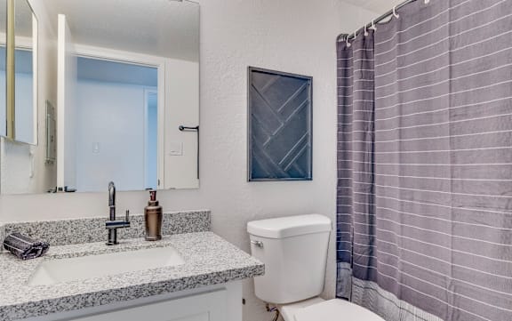 a bathroom with a toilet sink and shower and a mirror