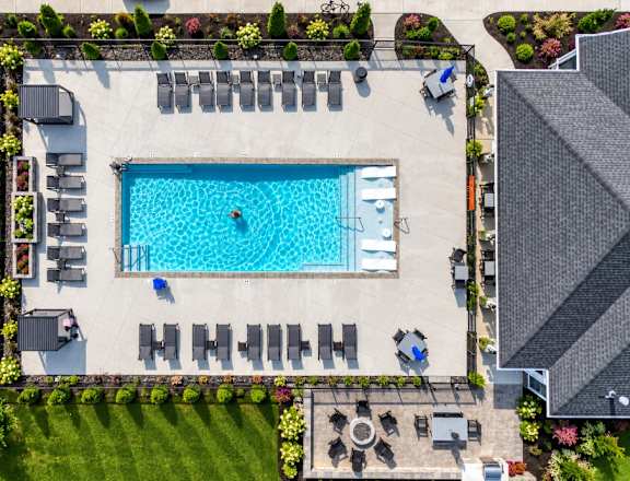 A large swimming pool surrounded by lounge chairs and greenery.