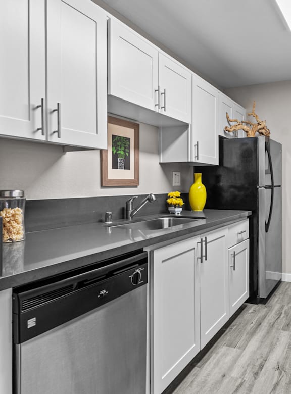 The Alexandar Apartments in Santa Rosa, California Model Kitchen